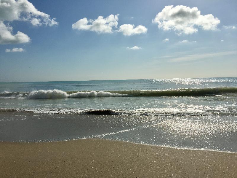 Готель Hollywood Beach Marriott Екстер'єр фото